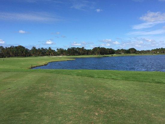 Palm Meadows Golf Course